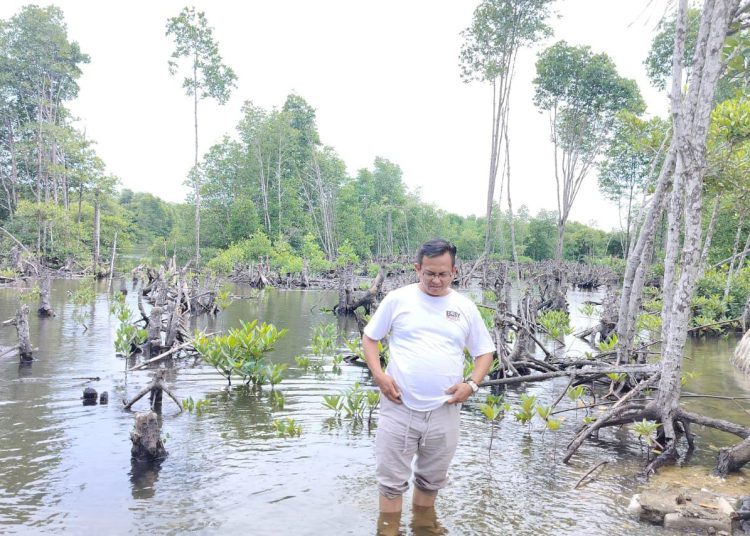Jelang Hari lingkungan Hidup Sedunia, Boby Lovers Sumut Ajak Kolaborasi Nyata untuk Lingkungan