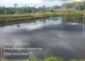 DLH Tapteng Minim Pengawasan : Limbah PT DMS Diduga Mengancam Kesehatan Warga