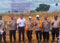 Medan Tuntungan Jadi Lokasi Gerakan Panen Jagung, Polisi Turut Hadir