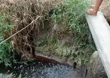DLHK Sumut Ungkap PT DMS Belum Miliki SLO, Uji Mutu Air Melebihi Baku