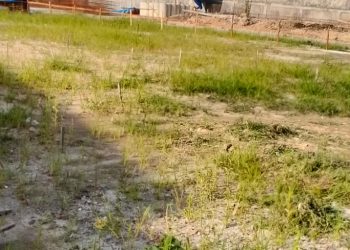 PEMBANGUNAN TANPA PBG DI MEDAN JOHOR TERUS BERLANJUT, ALIANSI AKTIVIS KOTA (AKTA) DESAK SATPOL PP SEGERA SEGEL