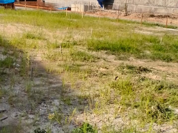 PEMBANGUNAN TANPA PBG DI MEDAN JOHOR TERUS BERLANJUT, ALIANSI AKTIVIS KOTA (AKTA) DESAK SATPOL PP SEGERA SEGEL