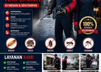 JASA PEMBASMI HAMA TERBAIK DI MEDAN — 085261098066 SIBAGA PEST & TERMITE CONTROL BERSAMA PT YOUBE FJT PSEB SIAP LAYANI RUMAH, KANTOR, HOTEL DAN USAHA Lainnya
