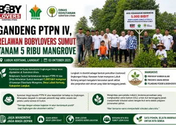 Relawan Bobylovers Sumut Tanam 5 Ribu Mangrove Bersama PTPN IV di Lubuk Kertang Langkat 