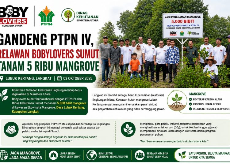 Relawan Bobylovers Sumut Tanam 5 Ribu Mangrove Bersama PTPN IV di Lubuk Kertang Langkat