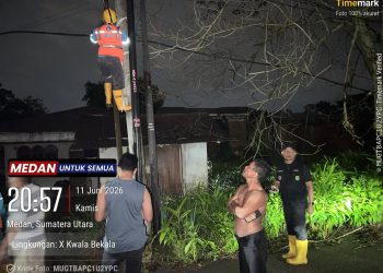 Camat Medan Johor Tinjau Langsung Lokasi Pohon Tumbang di Jalan Lingga Raya