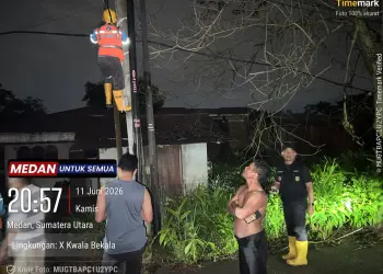 Camat Medan Johor Tinjau Langsung Lokasi Pohon Tumbang di Jalan Lingga Raya