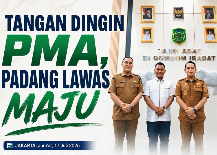 Tangan Dingin PMA, Padang Lawas Maju