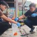 Bom Molotov Belum Terungkap: Kompolnas Minta Klarifikasi Kapolda Sumut