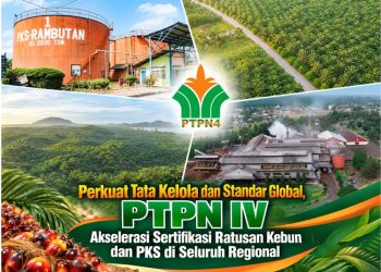 Perkuat Tata Kelola dan Standar Global, PTPN IV Akselerasi Sertifikasi Ratusan Kebun dan PKS di Seluruh Regional