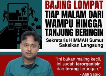 Bajing Lompat Tiap Malam Dari Wampu Hingga Tanjung Beringin, Sekretaris HIMMAH Sumut Saksikan Langsung